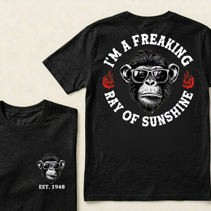 I'm A Freaking Ray Of Sunshine Custom Est.Year T-Shirt