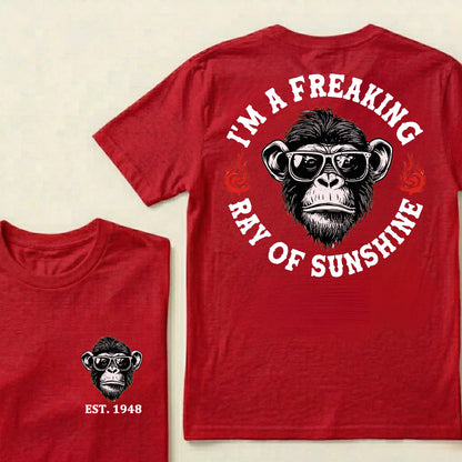 I'm A Freaking Ray Of Sunshine Custom Est.Year T-Shirt