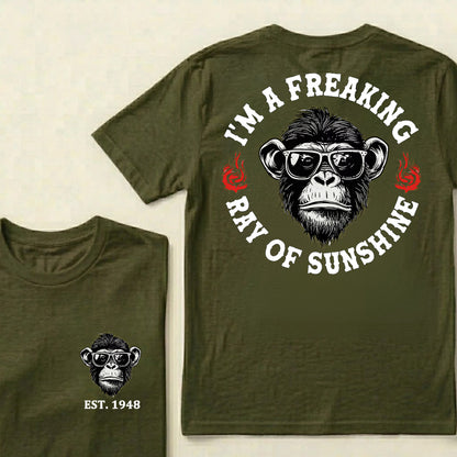 I'm A Freaking Ray Of Sunshine Custom Est.Year T-Shirt