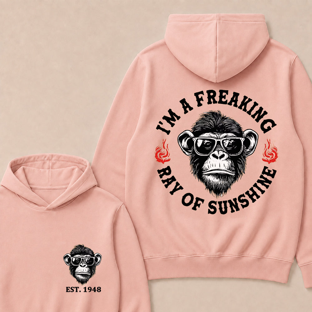 I'm A Freaking Ray Of Sunshine Custom Est.Year Hoodie